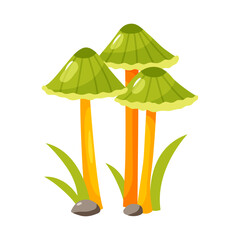 Cute cartoon illustration of a mushroom isolated on a white background