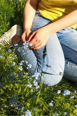 A girl collects flowers for a herbarium in a meadow