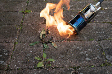 gas burner burns weeds on cement slabs