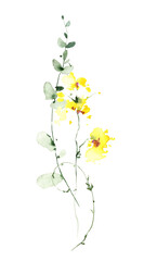 Watercolor floral bouquet on white background. Yellow wild flowers, green eucalyptus, herbs, leaves and twigs.