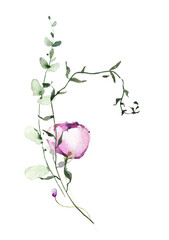 Watercolor floral bouquet on white background. Pink, violet delicate peony flower, eucalyptus branch, wild leaves, twigs