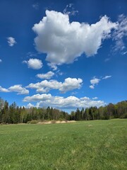 field and blue sky