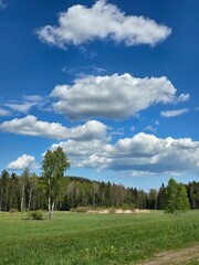 field and blue sky