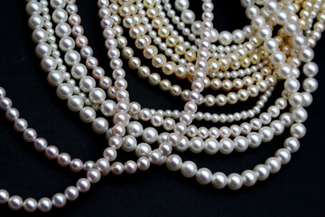 Expensive and luxurious Japanese saltwater Akoya pearls on strands of white, pink and golden...