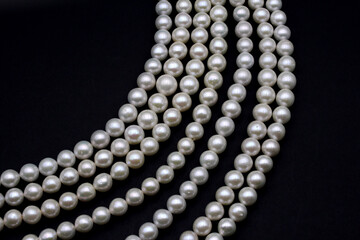 Chinese round freshwater white pearls on strands ready to become a necklace, some of the favorite materials for jewelry on black background. Lustrous nacre forms an organic gem.
