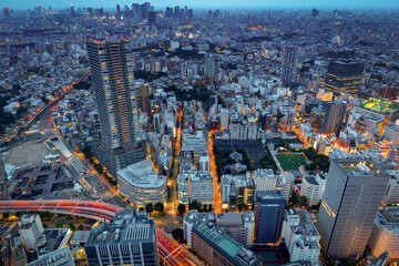 Naklejka premium Tokyo Night Skyline - Ikebukuro