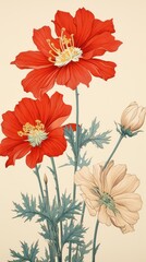 Traditional japanese wood block print illustration of cosmos flower hibiscus petal plant.