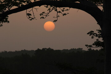 sunset with baobab africa