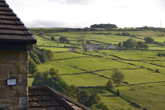 Yorkshire Dales farms and stone wall paddocks