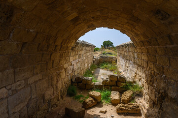 Remains of the antique City Salamis an Iron Age city kingdom and an ancient city in the east of the Mediterranean island of Cyprus 3