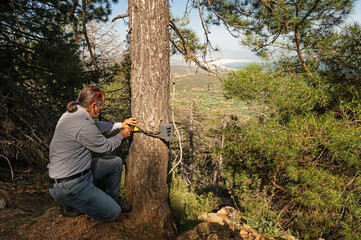 A man who placed a photo trap in a tree to film wild animals.