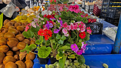 Colourful flowers sold on stalls at the local market.
