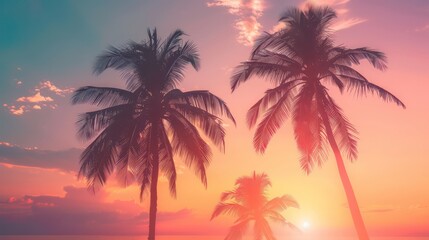 Fototapeta na wymiar Silhouette of palm trees at sunset, vintage filter