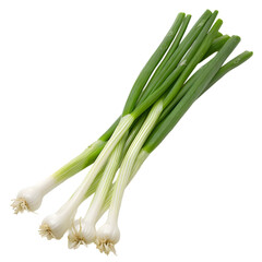  A bunch of vibrant scallions, their green and white colors contrasting, transparent background, PNG Cutout