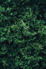 Develop a visually dynamic backdrop using abstract green