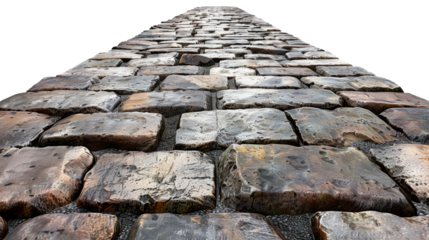 Cobblestone Pathway Perspective View