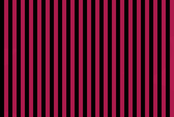 Shocking Rose Red color and black color background with lines. traditional vertical striped background texture..