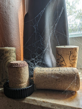Cobwebs and corks