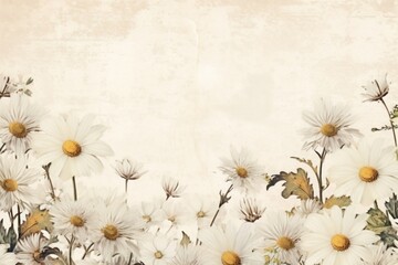 Fototapeta premium Daisy border backgrounds pattern flower.