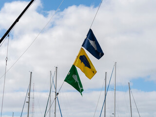 Fishing charter cactch flags

