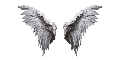 White angel wings on black background. Symbolic representation of purity and spirituality.