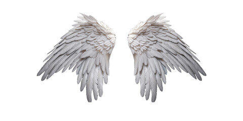 Two white angel wings on a black background, symbolizing purity and spirituality.