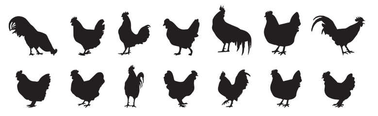 Hen silhouette set. Hand drawn animals silhouette illustration