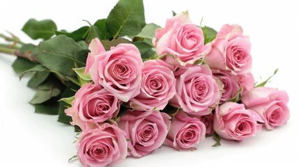 a bunch of pink roses with a white background