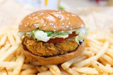 비만의 원인 패스트푸드 햄버거 감자튀김
Cause of obesity fast food hamburger french fries