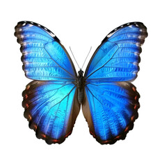Obraz premium Beautiful blue-white butterfly with spread wings, set against a transparent background. Made with Generative AI Technology