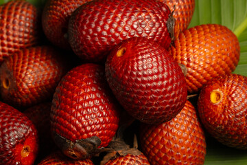 AGUAJE, A VERY CONSUMED FRUIT IN THE AMAZON REGIONS, AGUAJE OR BURUTI IS A DELICIOUS FRUIT, PHOTOGRAPH OF AGUAJE FRUIT, BURUTI FRUIT