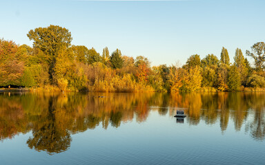 Summer Sunset at Trout Lake view golden hours trees and blue sky