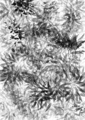 黒と白の模様のテクスチャ