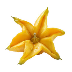 Fototapeta premium A whole starfruit, its unique shape and vibrant yellow color detailed, transparent background, PNG Cutout
