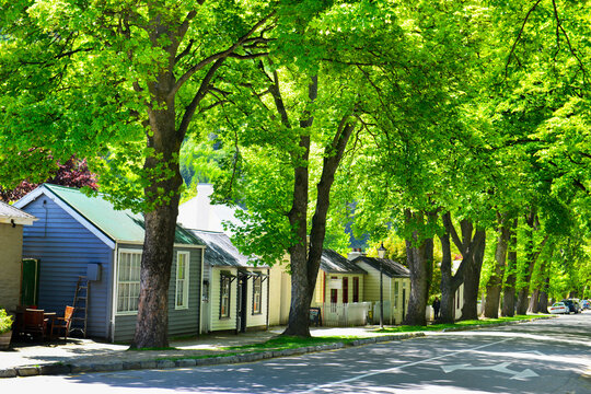 Arrowtown It's a popular travel destination with well preserved buildings used by European and Chinese immigrants dating from the gold mining days of the town