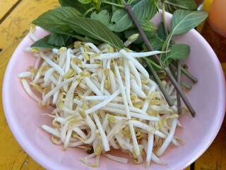 Sweet Basil and Bean Sprouts on wood background table, selective focus