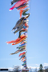空を泳ぐこいのぼり　日本の風習