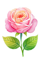 Beautiful pink rose with green leaves, AI generated