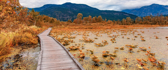 Path in Canadian Nature. Fall Colors. Pemberton, BC, Canada