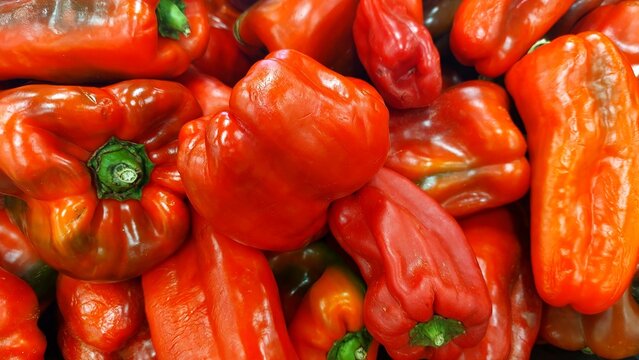 Red bell pepper (Capsicum annuum)