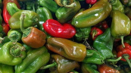 Green bell pepper (Capsicum annuum)