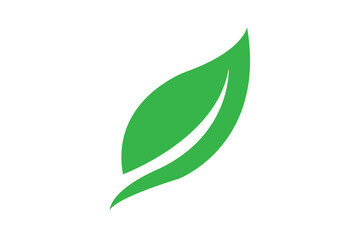 Leaf icon