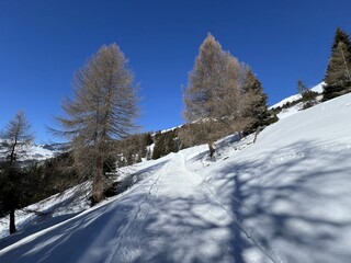 Excellently arranged and cleaned winter trails for walking, hiking, sports and recreation in the area of the tourist resorts of Valbella and Lenzerheide in the Swiss Alps - Switzerland (Schweiz)