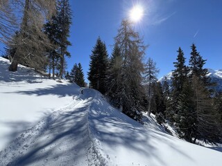 Excellently arranged and cleaned winter trails for walking, hiking, sports and recreation in the area of the tourist resorts of Valbella and Lenzerheide in the Swiss Alps - Switzerland (Schweiz)