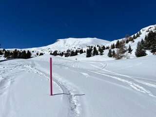 Excellently arranged and cleaned winter trails for walking, hiking, sports and recreation in the area of the tourist resorts of Valbella and Lenzerheide in the Swiss Alps - Switzerland (Schweiz)