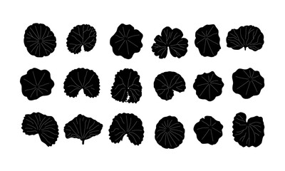 gotu kola vector. gotu kola silhouette vector. gotu kola leaves design