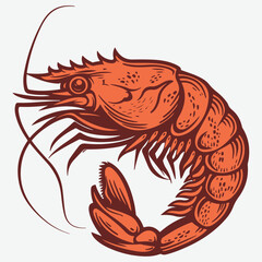 King prawn vintage woodcut drawing vector