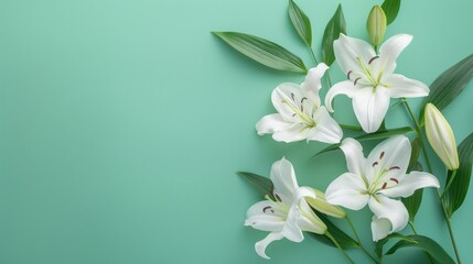 white lilies flowers on green background with copy space for text
 - obrazy, fototapety, plakaty