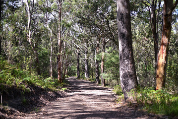 Walk through the sand dunes to Tin City
