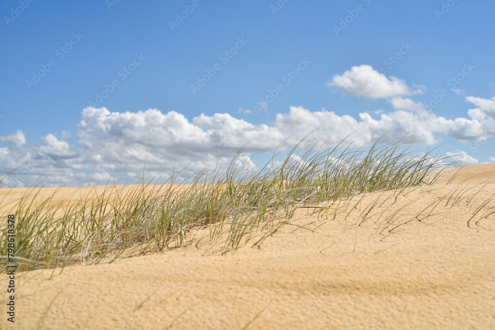 Canvas Prints Walk through the sand dunes to Tin City